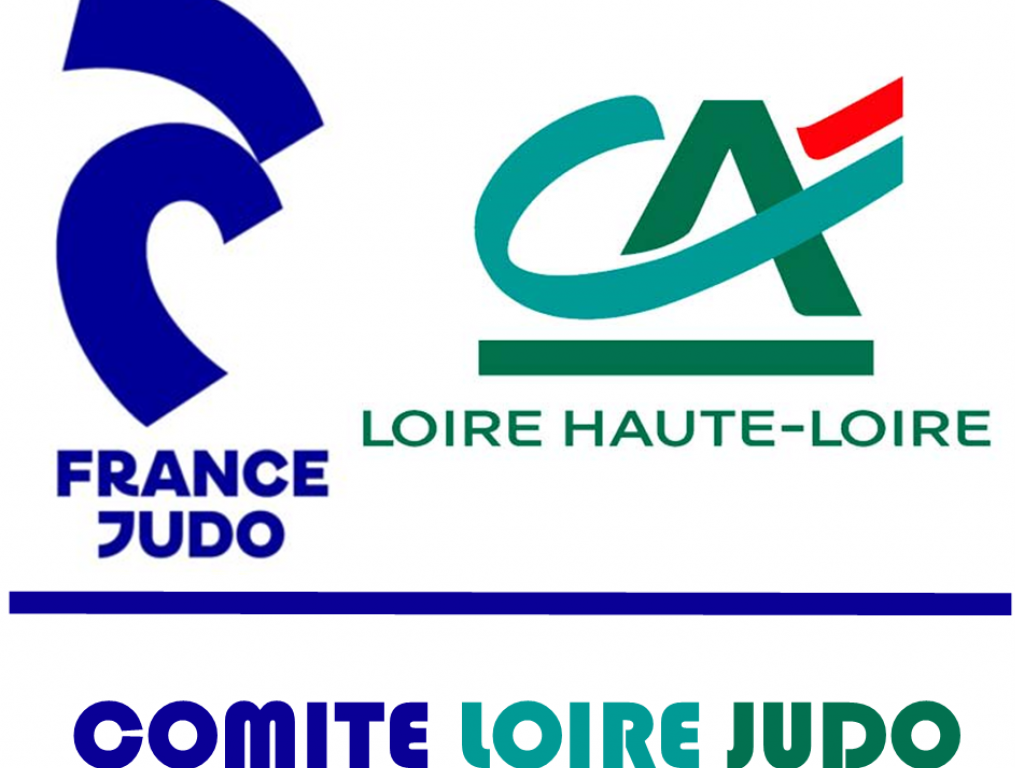 Image de l'actu 'Nouveau site du Comité Loire Judo'