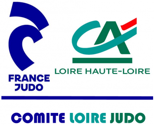 Image de l'actu 'Nouveau site du Comité Loire Judo'